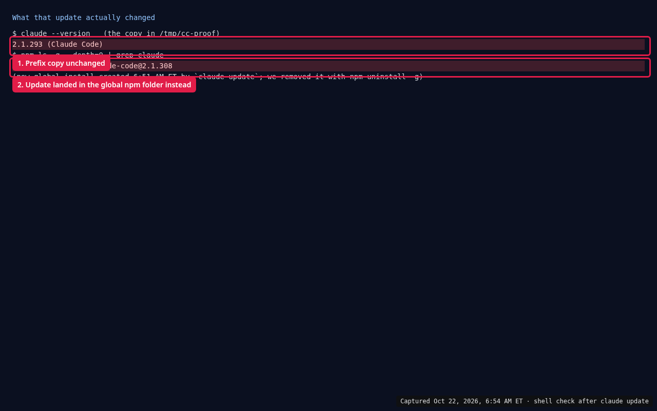 Terminal: the folder copy still reports 2.1.293 while a new global npm install of 2.1.308 appeared