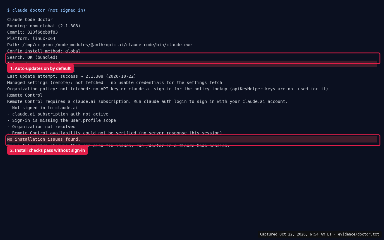 Terminal: claude doctor output showing npm-global 2.1.308, Auto-updates enabled, channel latest, last update attempt success, and No installation issues found