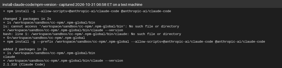 Terminal output on Oct 31, 2026: after re-running npm with --allow-scripts for @anthropic-ai/claude-code, claude --version prints 2.1.316 (Claude Code).
