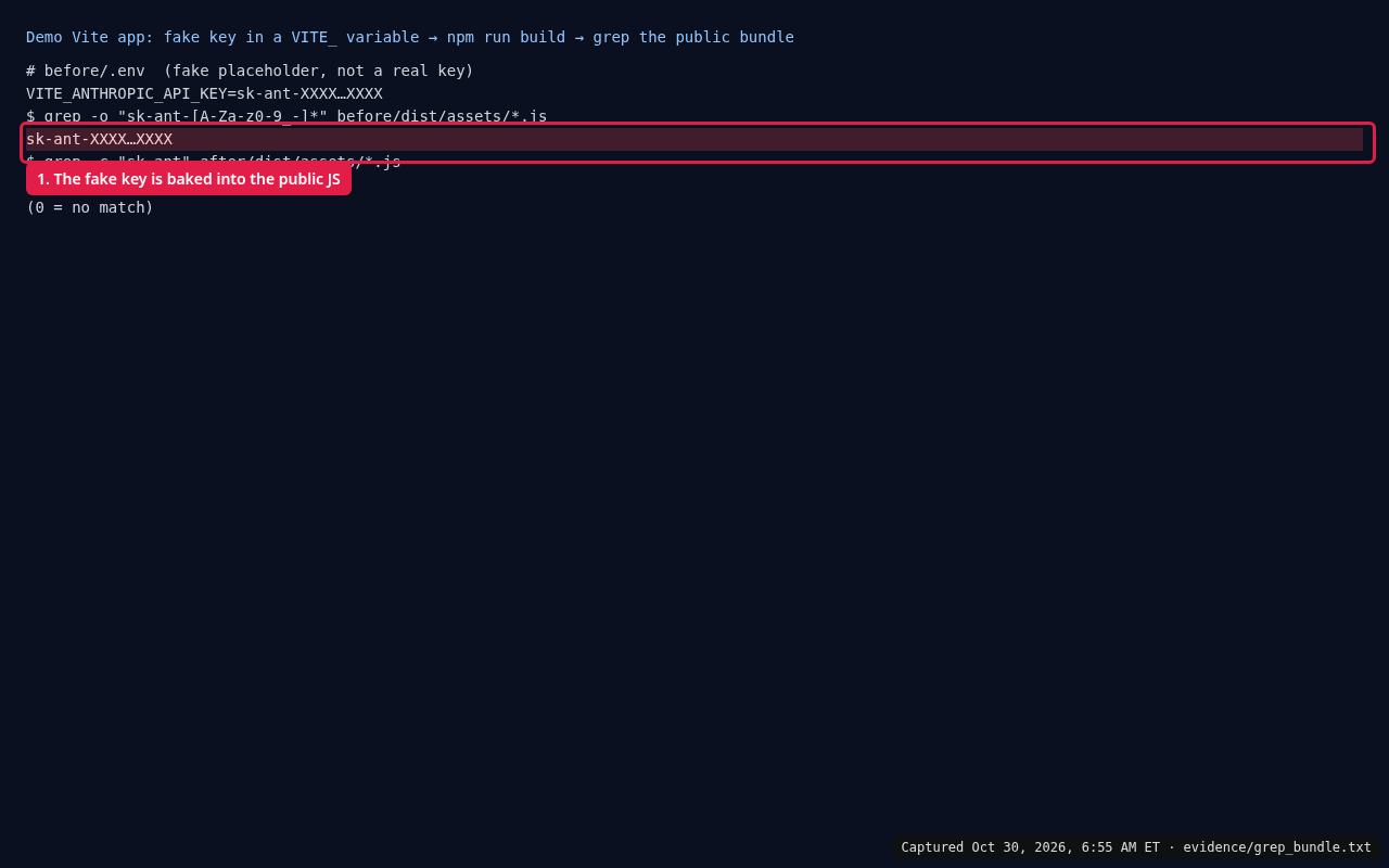 Built Vite JavaScript bundle containing the fake sk-ant-XXXX placeholder key from a VITE_ variable.