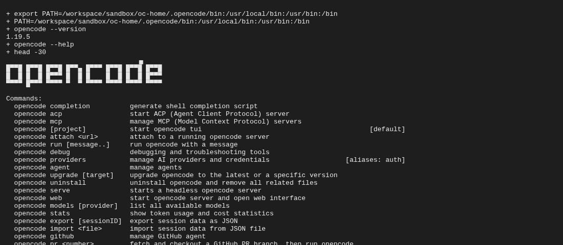 Terminal on Oct 31, 2026: opencode --version prints 1.19.5, and opencode --help lists commands such as run, serve, providers with the alias auth, uninstall and upgrade.