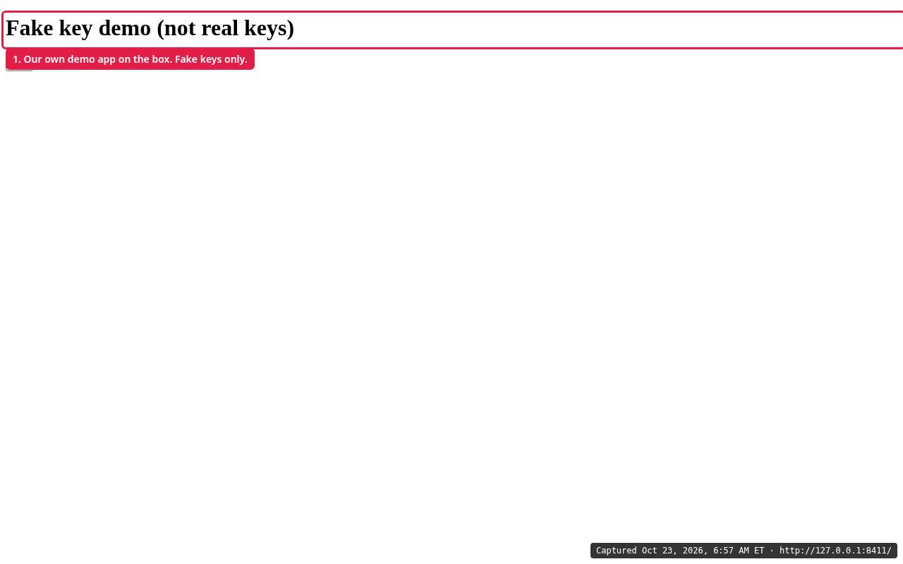 Our demo app's page in the browser, a simple button that triggers a payment call
